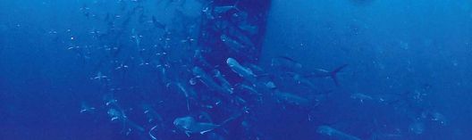 メインイメージ